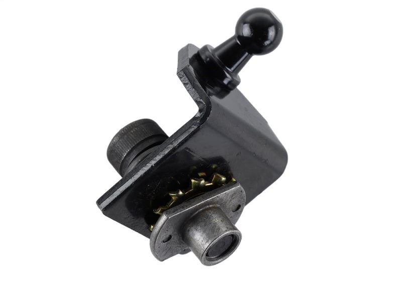 Ford Racing 15-23 Ford Mustang Hood Lift Kit w/Laser Engraving Ford Logo (Excl GT350/GT350R) Ford Racing