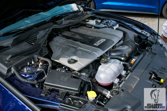 Bundle - 2018 OEM Non-Ported Mustang GT Manifold + LU47 Injectors (11-19 Mustang GT) Ford Performance