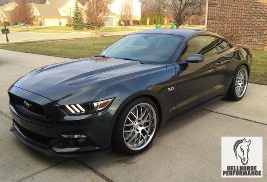 Steeda Mustang Sport Springs - Linear (15-17 GT/V6/) Steeda