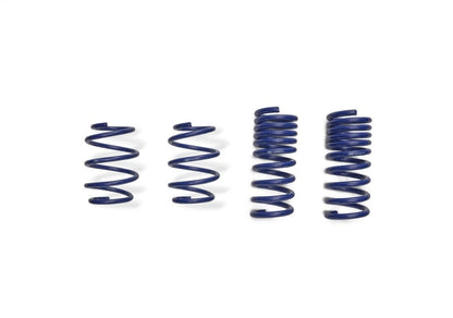 Ford Racing 2024 Mustang 2.3L Track Lowering Spring Kit Ford Racing