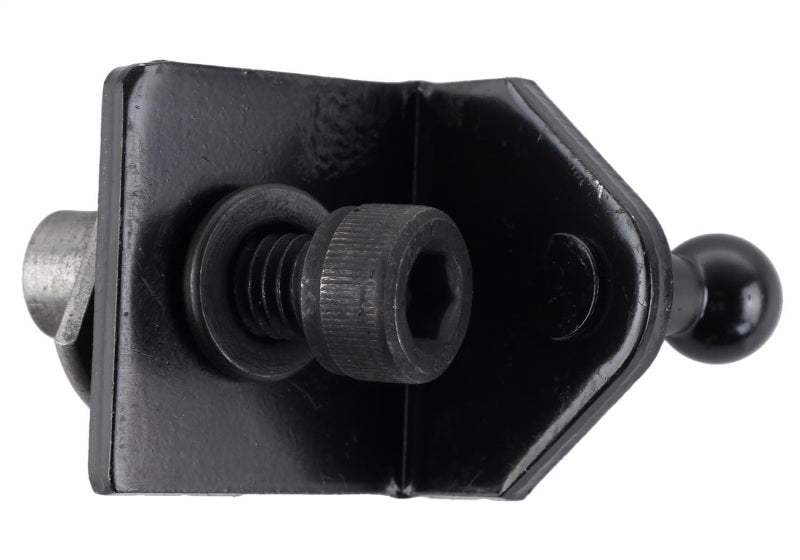 Ford Racing 15-23 Ford Mustang Hood Lift Kit w/Laser Engraving Ford Logo (Excl GT350/GT350R) Ford Racing