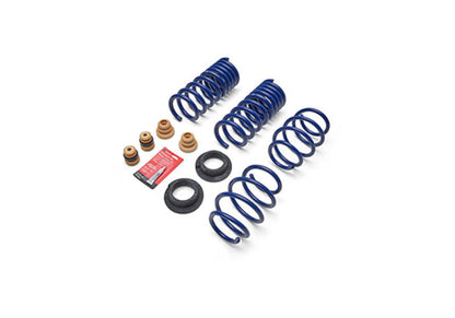 Ford Racing 2024 Mustang 2.3L Track Lowering Spring Kit Ford Racing