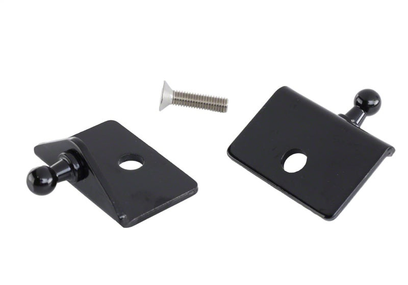 Ford Racing 05-14 Mustang Hood Lift Kit w/ Laser Engraved Ford Performance Logo Ford Racing