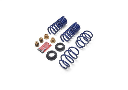 Ford Racing 2024 Mustang 2.3L Track Lowering Spring Kit Ford Racing